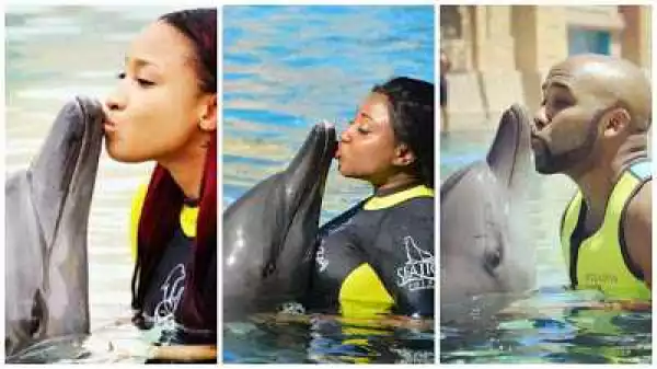 Dolphin kissers! Tonto Dikeh vs Ini Edo vs Banky W